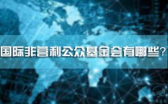 國際非營利公眾基金會有哪些？